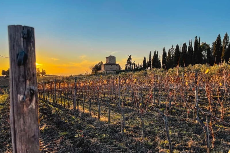 Florence: Hiking Tuscany & Chianti wine 3 wineries and lunch - Walking through the Conca d’Oro vineyards