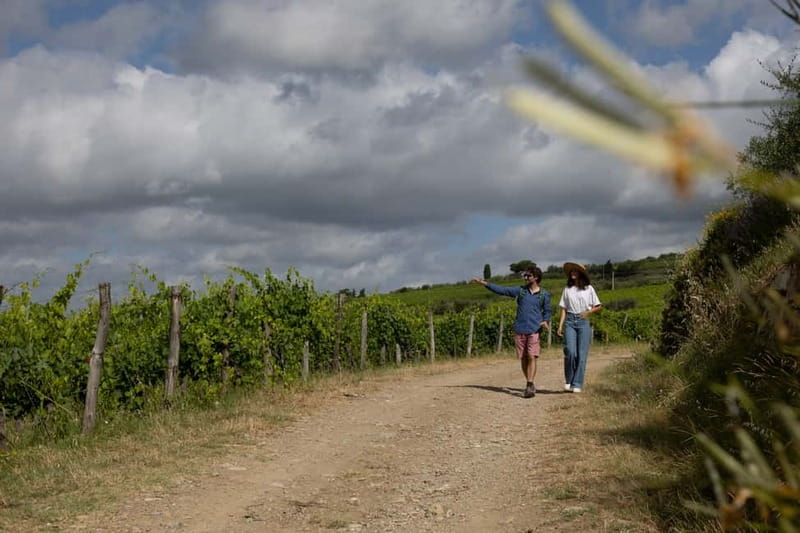 Florence: Hiking Tuscany & Chianti wine 3 wineries and lunch - Guide quality and the value of a seven-person group