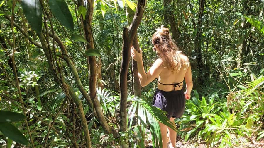 Florianopolis: Lagoinha do Leste Natural Park Hike - Through Atlantic Forest for about 100 minutes