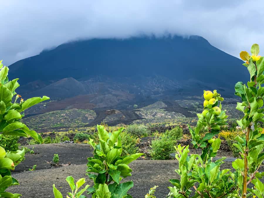 Fogo Island: Pico do Fogo Volcano Summit Hike - Key points at a glance