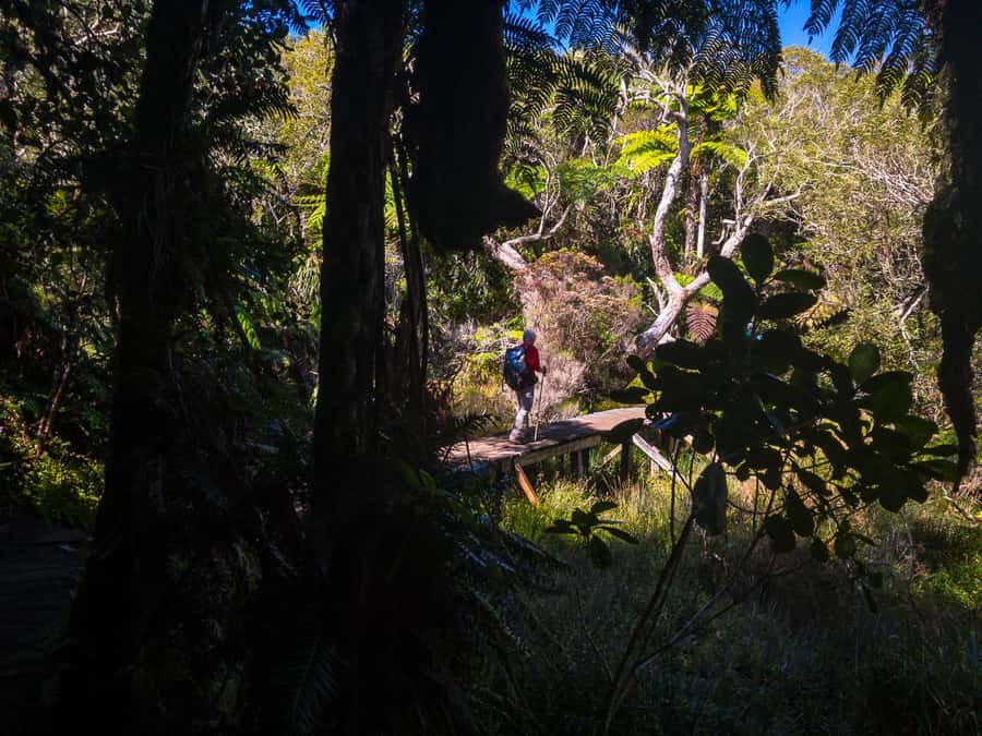 Forest Bélouve: Trou de Fer Weekly Group Hike in French - What the French guide adds