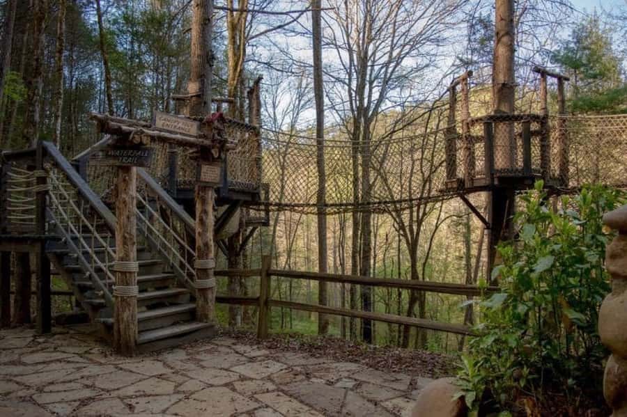 Foxfire Mountain: Hiking & Swinging Bridge Family Adventure - Key things to know before you go
