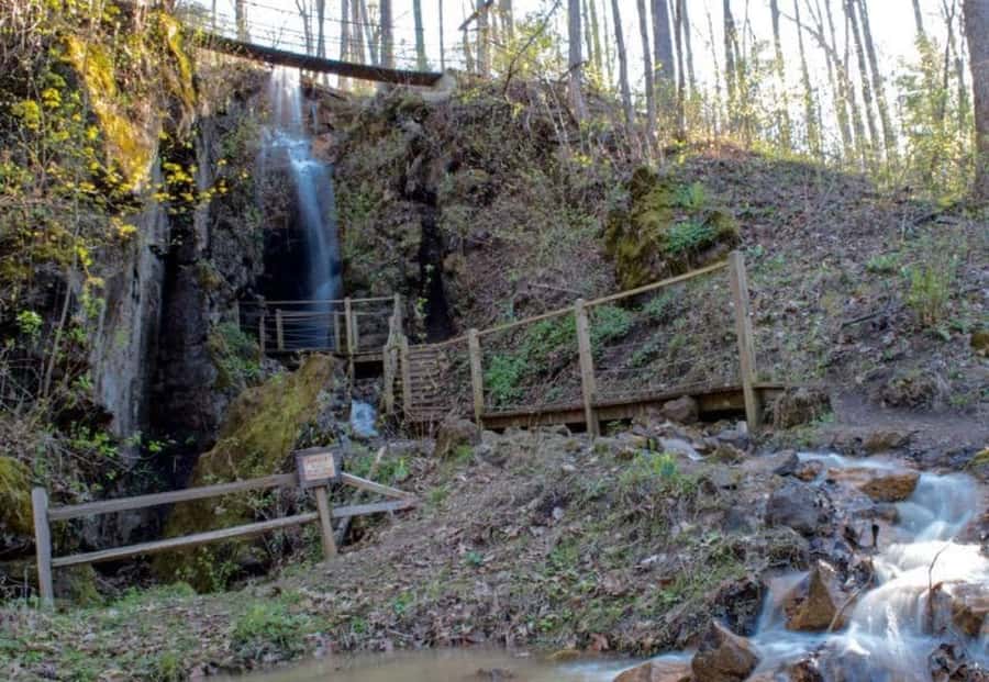 Foxfire Mountain: Hiking & Swinging Bridge Family Adventure - What the $27 price really buys you