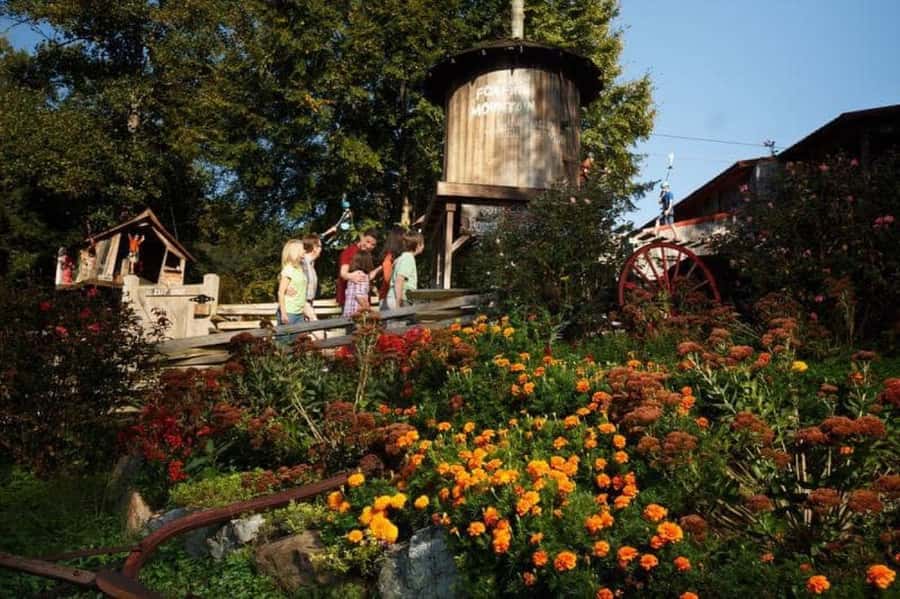 Foxfire Mountain: Hiking & Swinging Bridge Family Adventure - Crossing the 335-foot Swinging Bridge