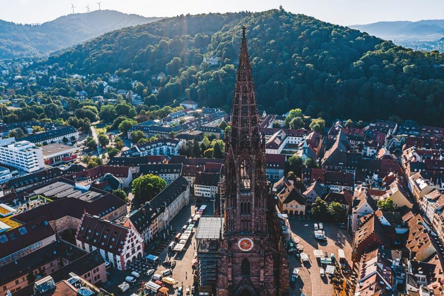 Freiburg: Veni, vidi, vino - wine hike and tasting - Walking the Schlossberg with the city below