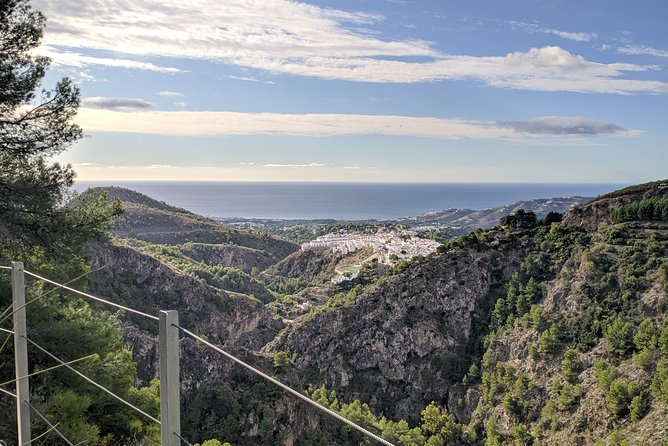 Frigiliana Small-Group Hike and Wine Tasting Tour from Malaga - Local wine and tapas in a cellar