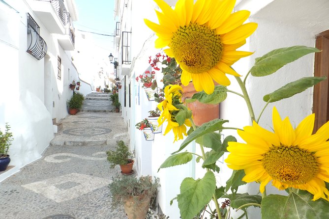 Frigiliana Small-Group Hike and Wine Tasting Tour from Malaga - Alfonso and the small-group feel