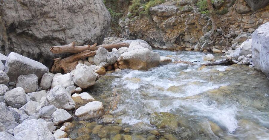 From Agia Galini/Matala: Samaria Gorge Hiking Tour - Starting at 1,200 meters on the Omalos Plateau