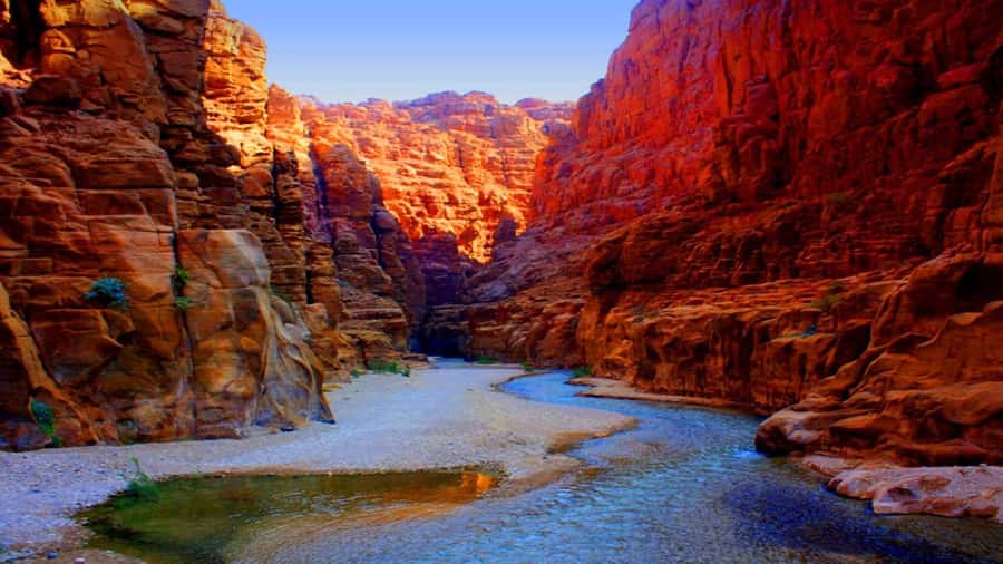 From Amman: Wadi Mujib Siq Trail Private Hiking Tour - Key points to know before you book