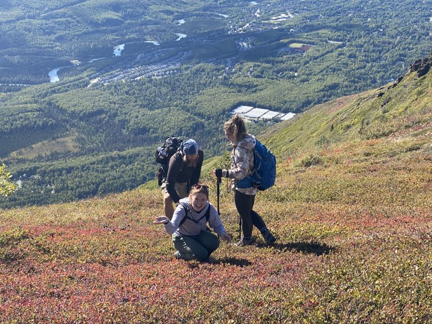 From Anchorage: Chugach State Park Guided Alpine Trek - Key points to know before you book