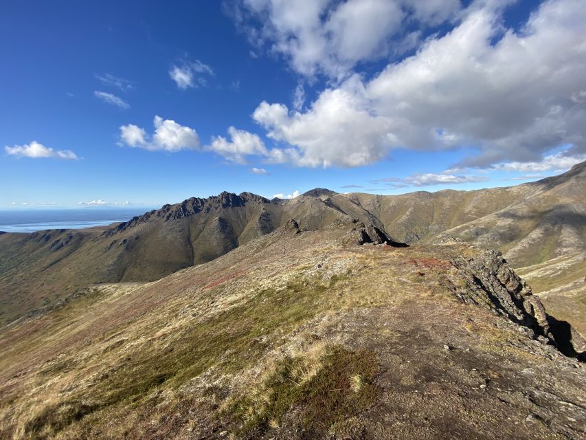 From Anchorage: Chugach State Park Guided Alpine Trek - From downtown Anchorage to open alpine ridges