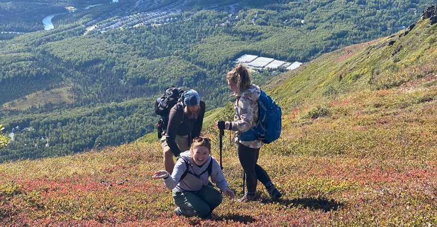 From Anchorage: Chugach State Park Guided Alpine Trek - Alpine tundra with plants at your feet