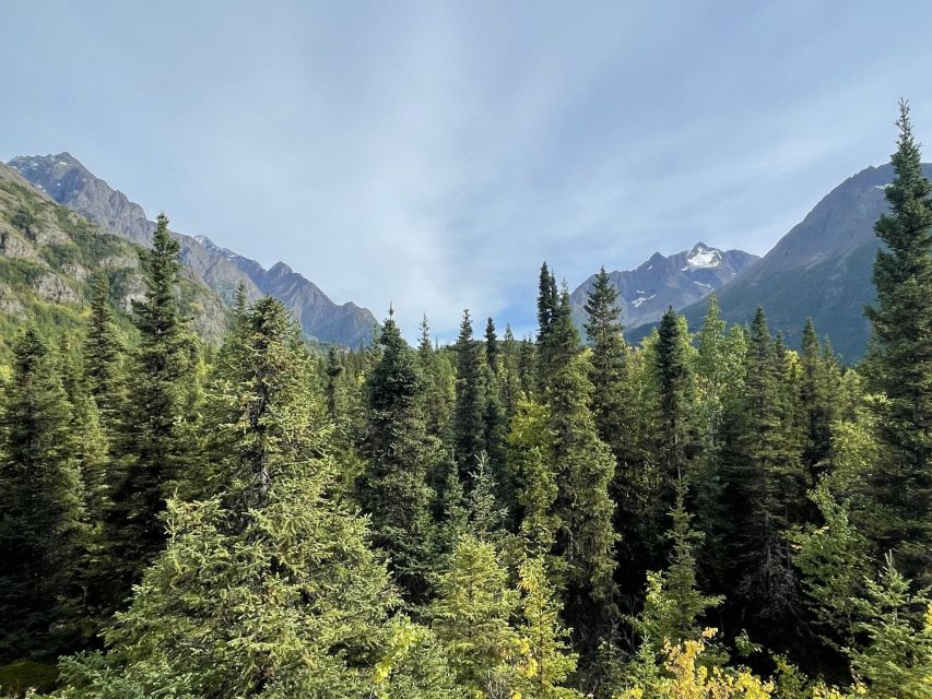 From Anchorage: Valley and Forest Hike with Naturalist Guide - Key points to know before booking