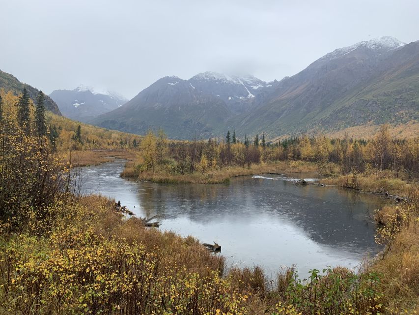 From Anchorage: Valley and Forest Hike with Naturalist Guide - Eagle River, a wild-feeling start near Anchorage