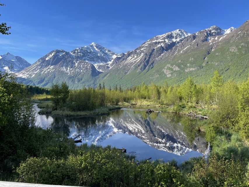 From Anchorage: Valley and Forest Hike with Naturalist Guide - Wildlife possibilities, from dippers to moose
