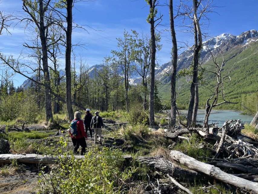 From Anchorage: Valley and Forest Hike with Naturalist Guide - Should you book the Eagle River and Barbara Falls hike?