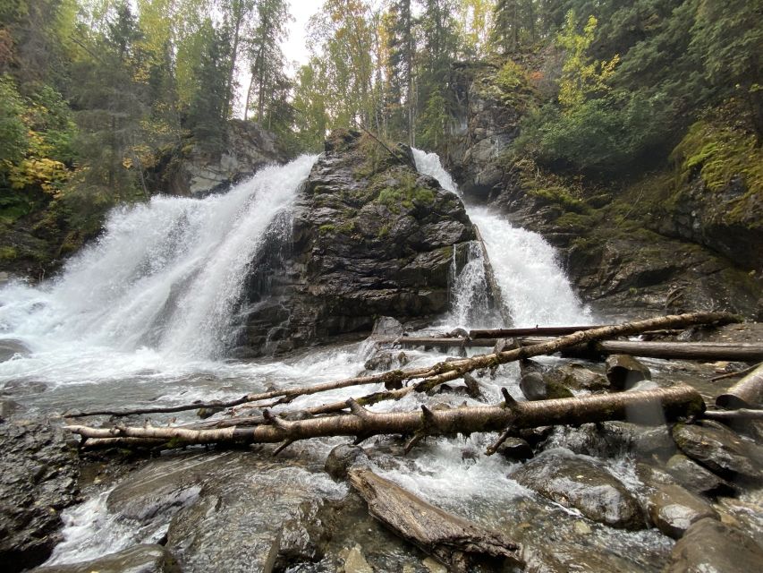 From Anchorage: Valley and Forest Hike with Naturalist Guide - What the naturalist guide adds on the trail