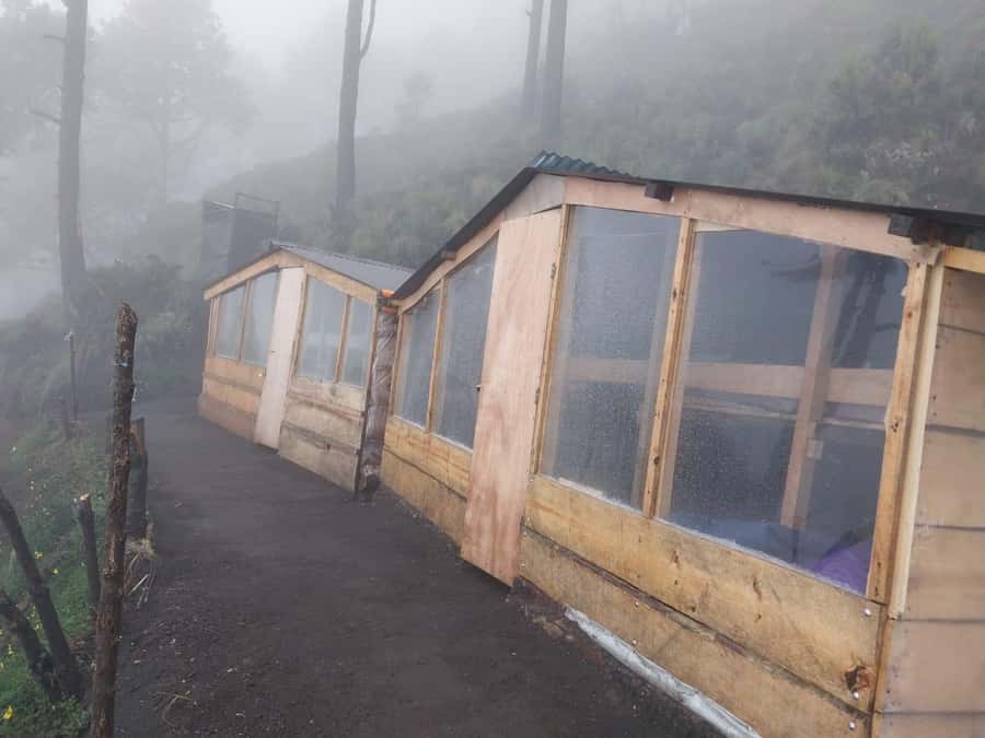 From Antigua: 2-Day Acatenango Volcano Hiking with Guide - Breakfast, then the long descent