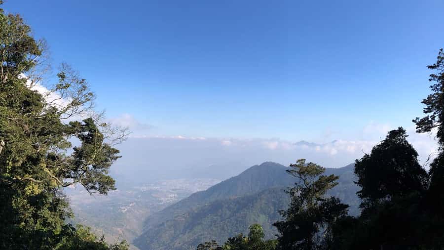 From Antigua Guatemala: Birdwatching and Scenic Hiking Tour - Starting among the lower trails and feeders