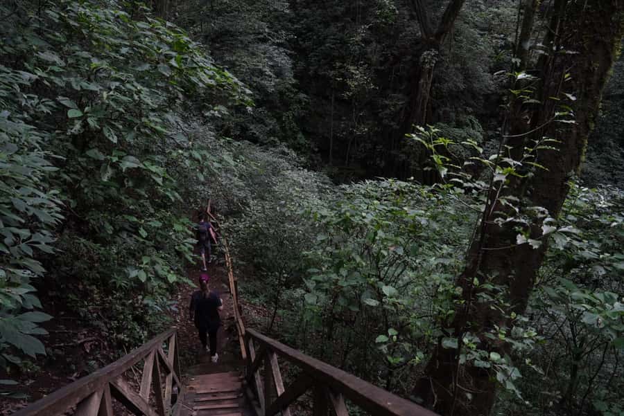 From Antigua Guatemala: Birdwatching and Scenic Hiking Tour - How the $95 price measures up