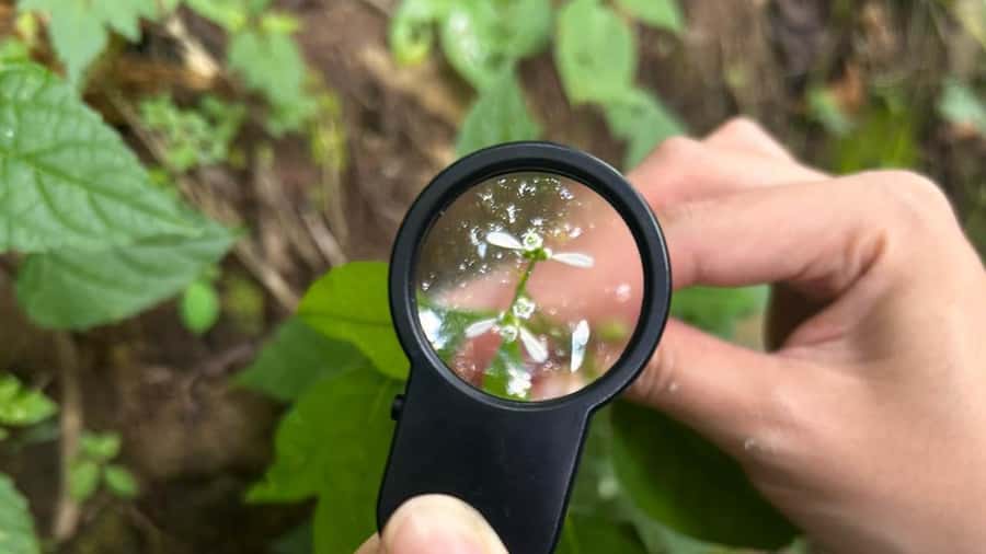 From Antigua Guatemala: Birdwatching and Scenic Hiking Tour - What to bring for a better outing