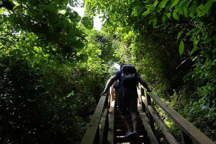 From Antigua Guatemala: Birdwatching and Scenic Hiking Tour - Should you book the Finca El Pilar tour?