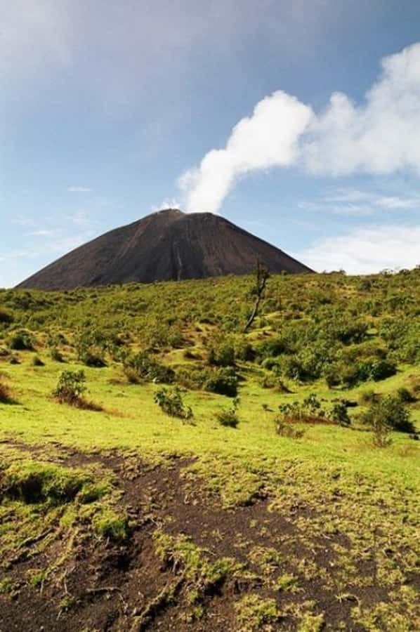 From Antigua: Pacaya Volcano Day Hike - Walking from forest and farmland toward black lava