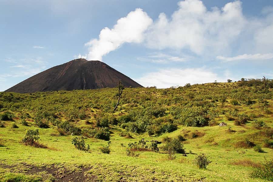 From Antigua: Pacaya Volcano Trek - What the $23 price really covers