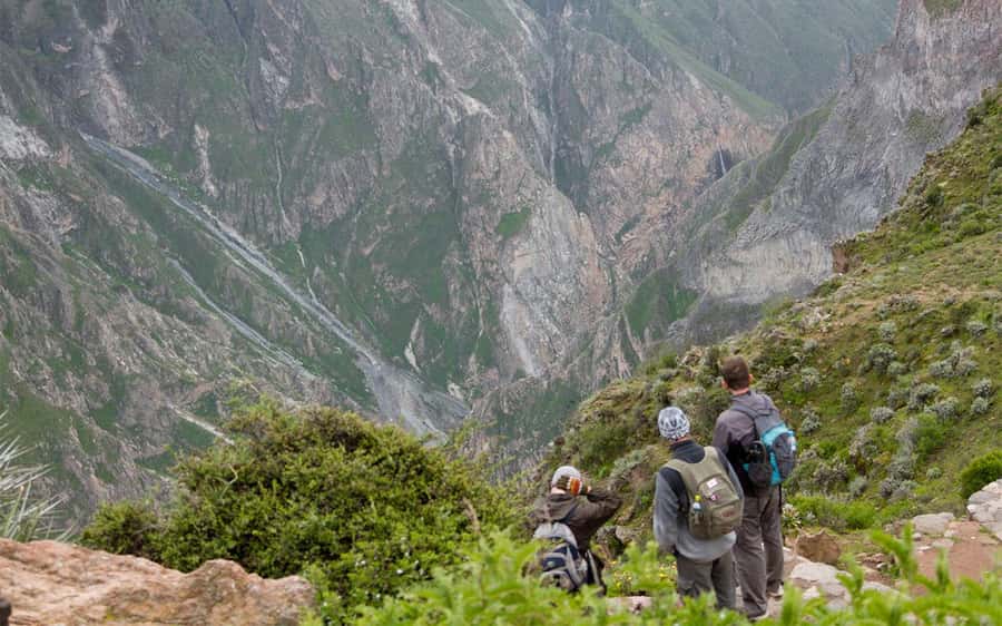From Arequipa: 2-Day Colca Canyon Trekking Tour - Cruz del Cóndor and the Andean condors