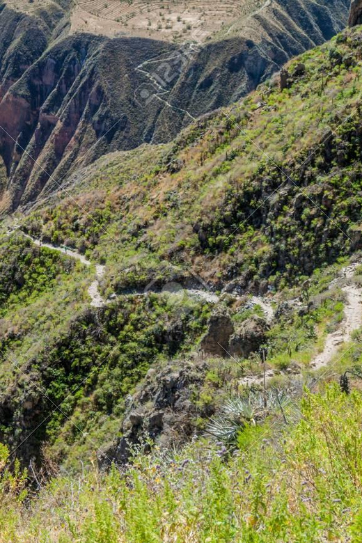 From Arequipa: 2-Day Colca Canyon Trekking Tour - Breakfast in Cabanaconde and the return stops
