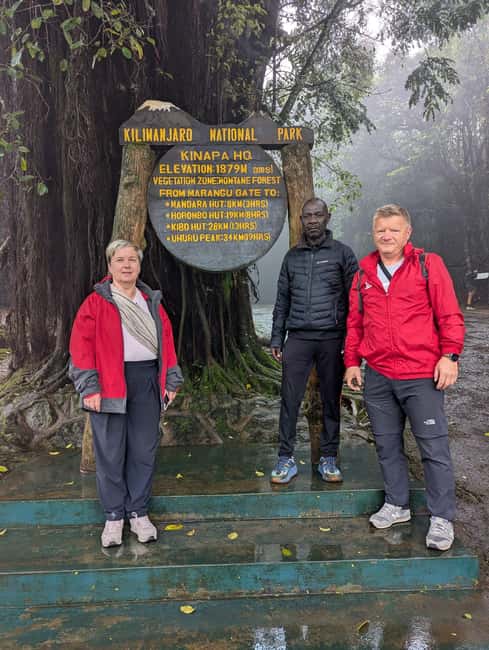 From Arusha/Moshi: Kilimanjaro Hike Marangu Route Day Trip - Marangu Gate to Mandara Hut through rainforest