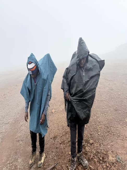 From Arusha/Moshi: Kilimanjaro Hike Marangu Route Day Trip - Mandara Hut and Maundi Crater