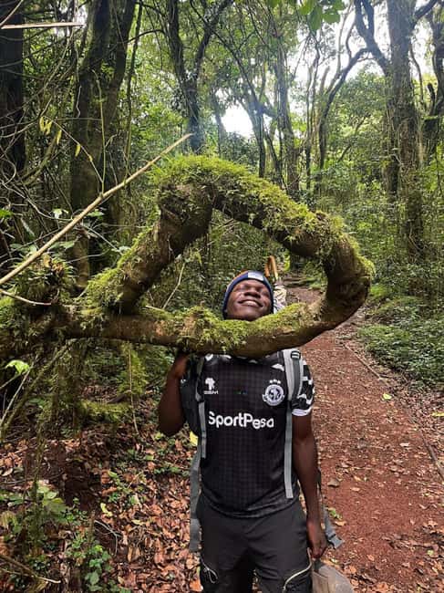 From Arusha/Moshi: Kilimanjaro Hike Marangu Route Day Trip - Practical packing advice for the forest
