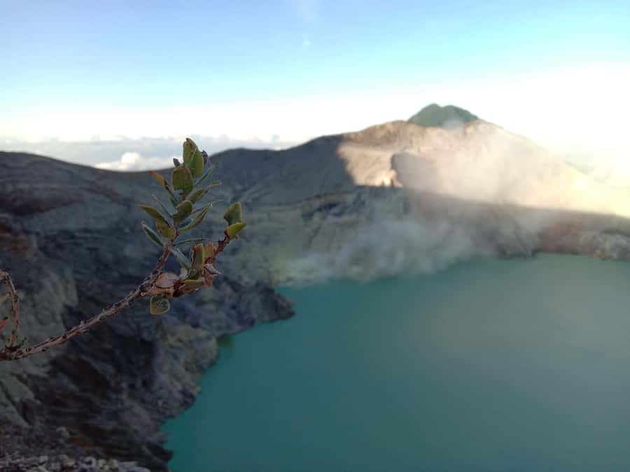 From Bali : The Majestic Mount Ijen Sunrise Trekking - Who should book this Ijen trip?