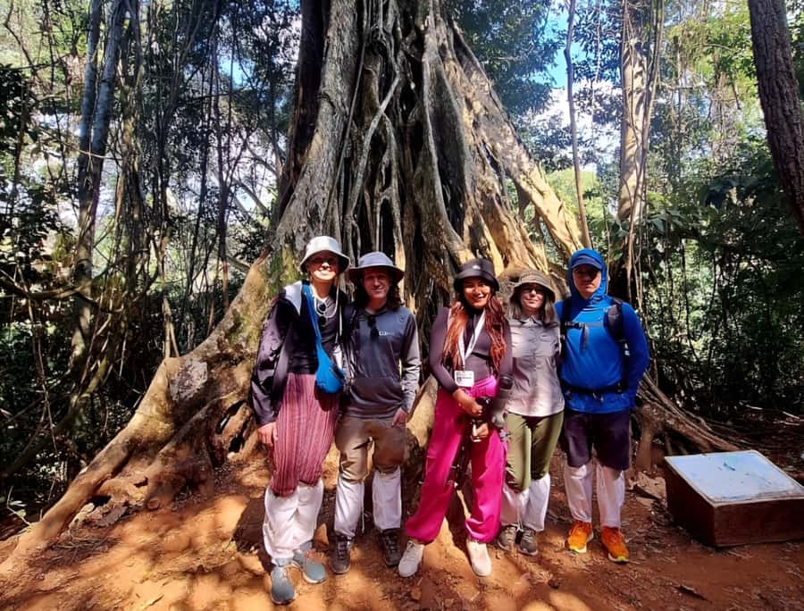 From Bangkok: Khao Yai National Park Jungle Trek with Lunch - Key points to know before booking