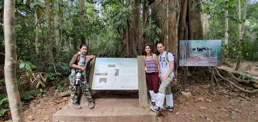 From Bangkok: Khao Yai National Park Jungle Trek with Lunch - Nong Phak Chi trail: two and a half hours on foot