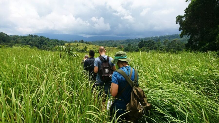 From Bangkok: Khao Yai National Park Jungle Trek with Lunch - Haew Suwat Waterfall and the final park stops