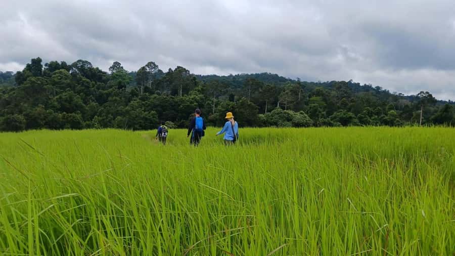 From Bangkok: Khao Yai National Park Jungle Trek with Lunch - The 6:30 a.m. hotel pickup