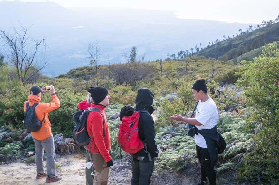 From Banyuwangi: Day Trip to Ijen Volcano with Guided Trek - What the Ijen morning is really like