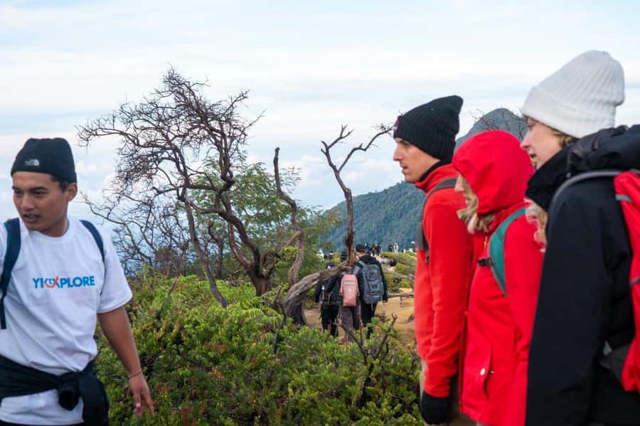 From Banyuwangi: Day Trip to Ijen Volcano with Guided Trek - Sunrise from the crater rim