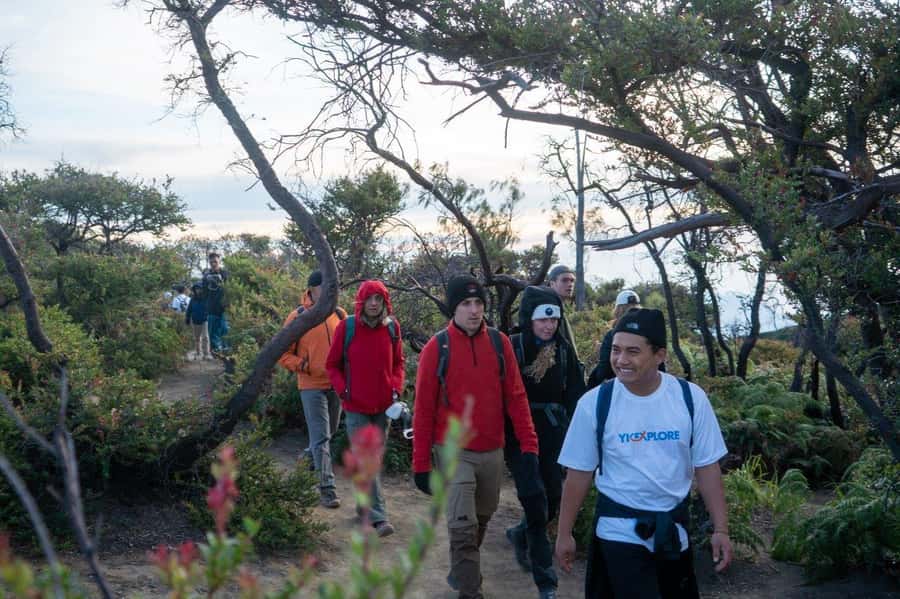 From Banyuwangi: Day Trip to Ijen Volcano with Guided Trek - Who should book this Ijen trip?