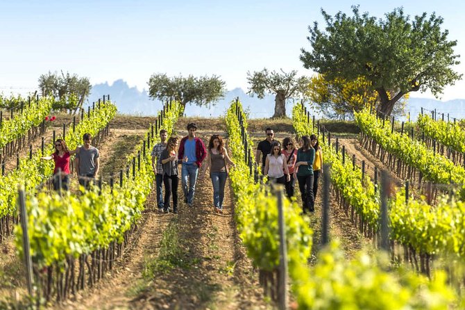From Barcelona: El Penedès Hike & Wines - Leaving Barcelona for El Penedès