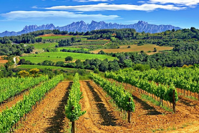 From Barcelona: El Penedès Hike & Wines - How demanding is the hike?