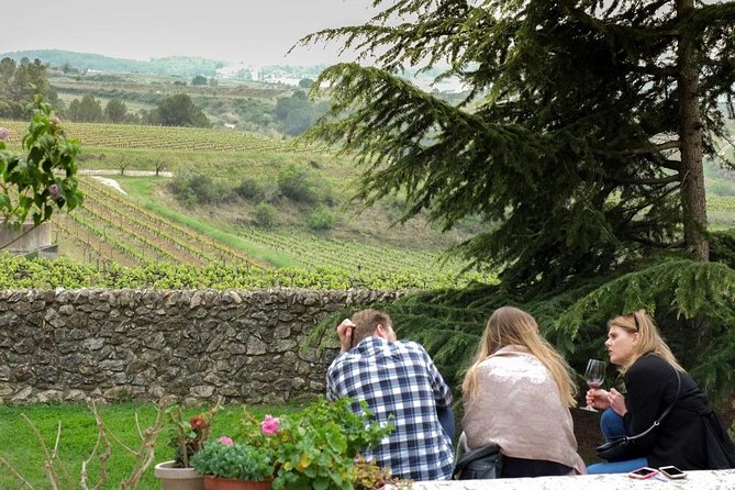 From Barcelona: El Penedès Hike & Wines - What the small group changes