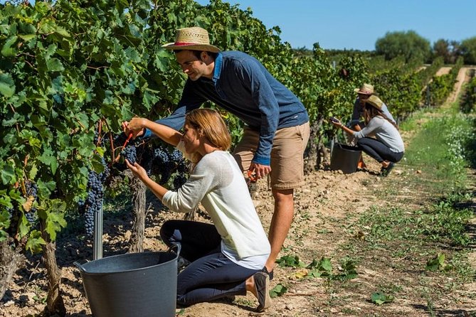 From Barcelona: El Penedès Hike & Wines - What to bring and how to prepare