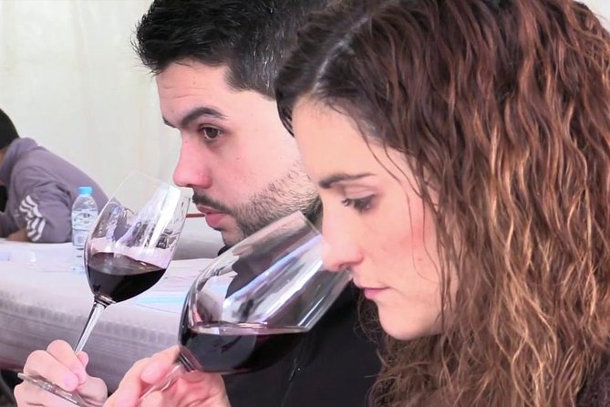 From Barcelona: El Penedès Hike & Wines - Inside the organic Albet i Noya cellar