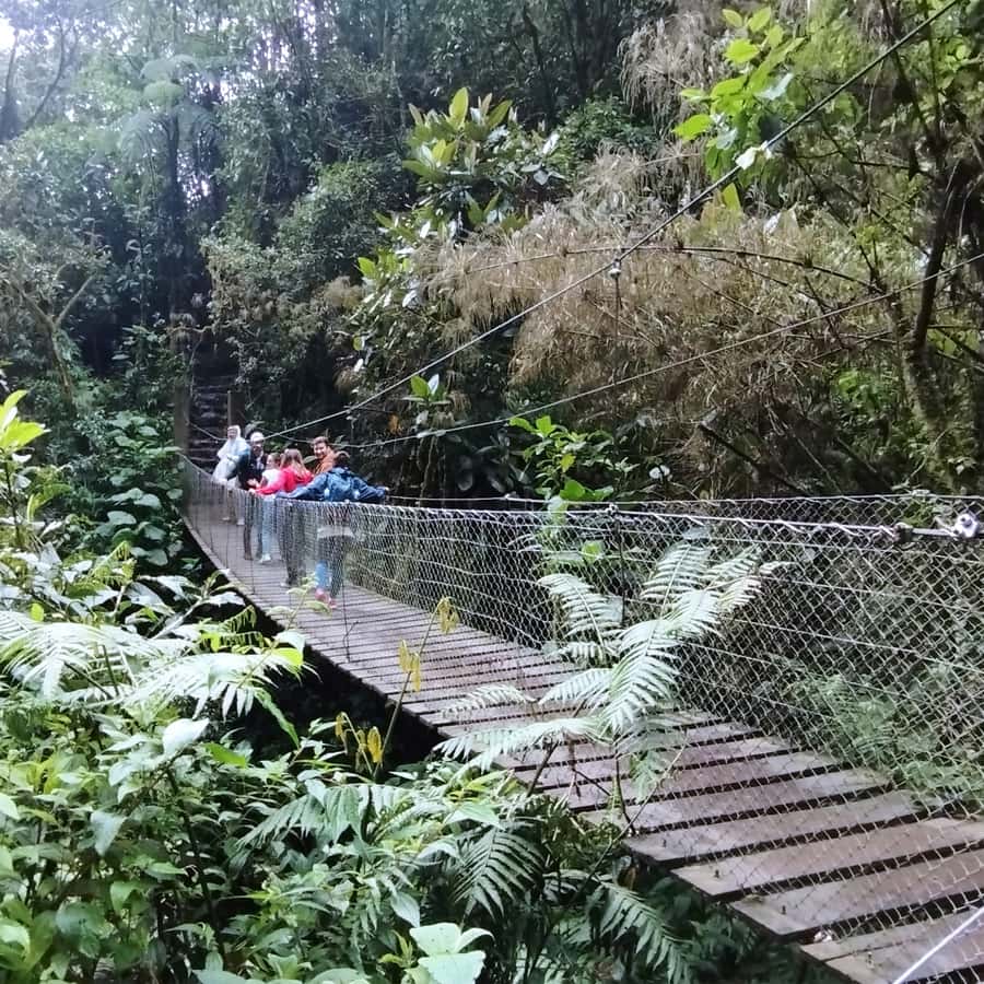 From Bogota: La Chorrera Waterfall Guided Hike - Practical preparation for the walk
