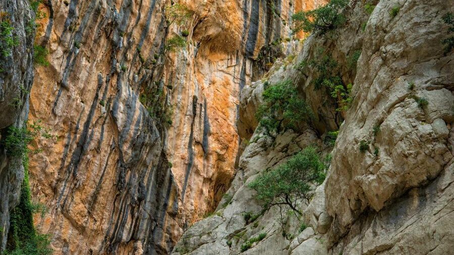 From Cala Gonone: Gorropu hiking with lunch - A Small Group Makes a Difference