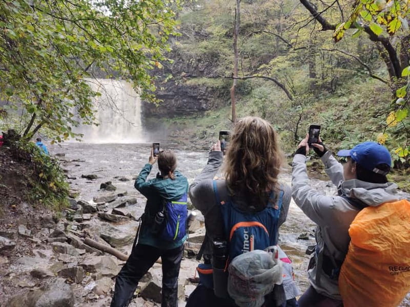 From Cardiff: Guided Hike to 8 Waterfalls in Brecon Beacons - The woodland walk is beautiful, but it gets wet