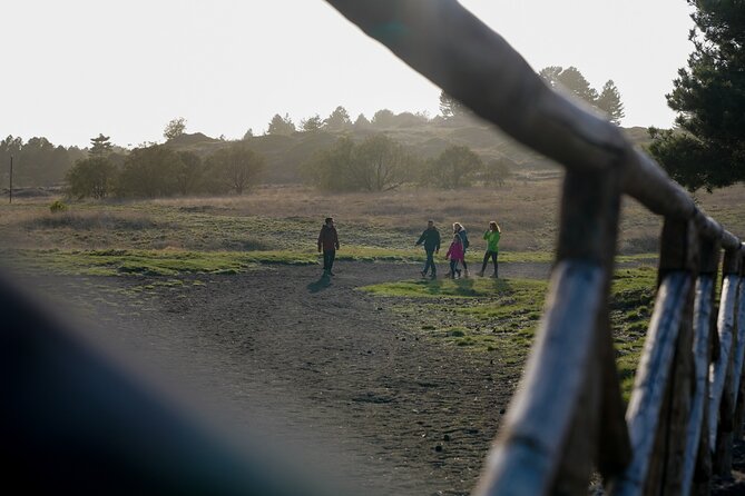 From Catania: Private mt. Etna trekking and pic-nic - Starting from Catania at 8:30 a.m.